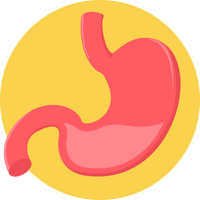 Lactobacillus Rhamnosus